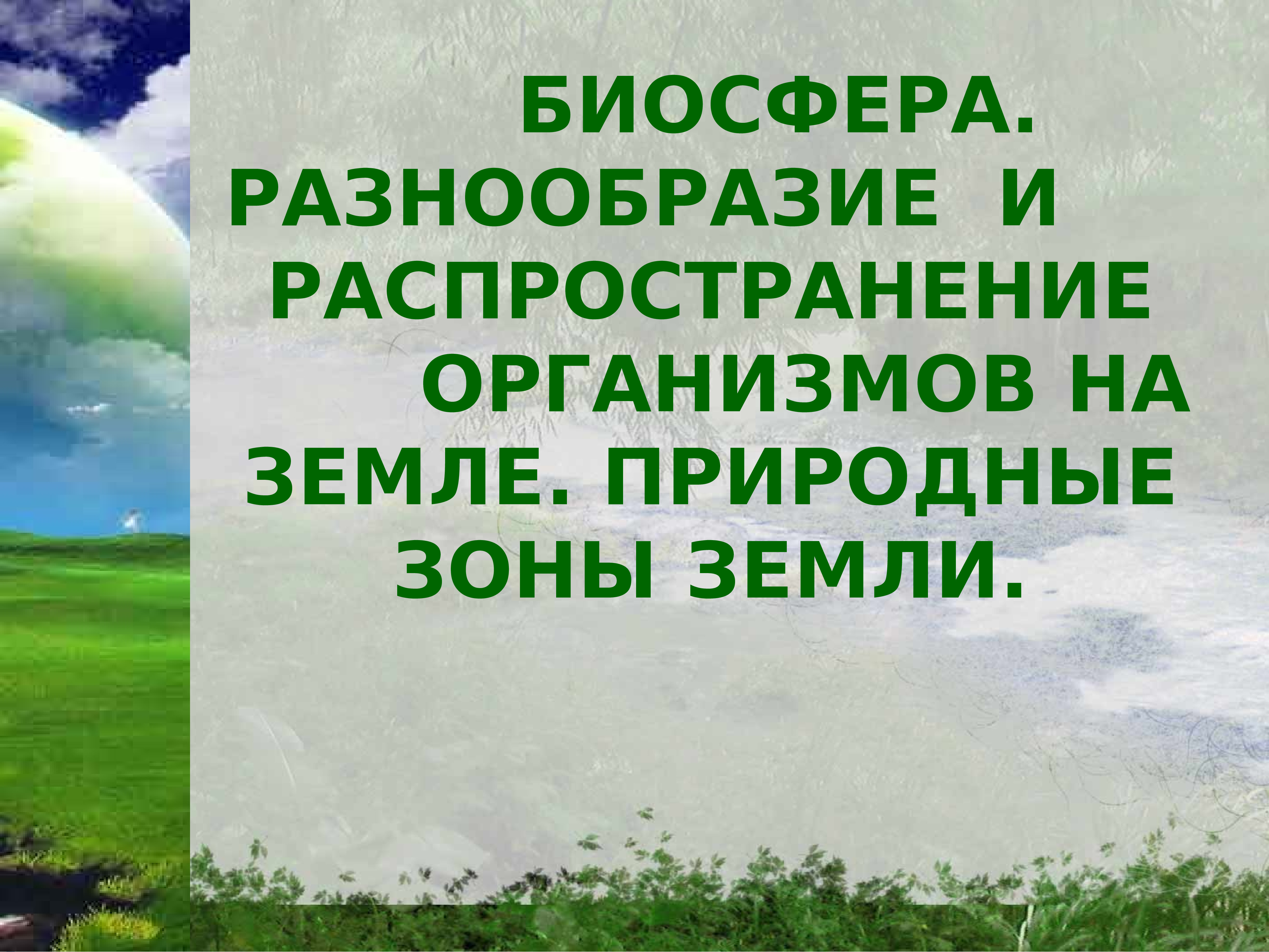 Разнообразие и распространение организмов на земле презентация