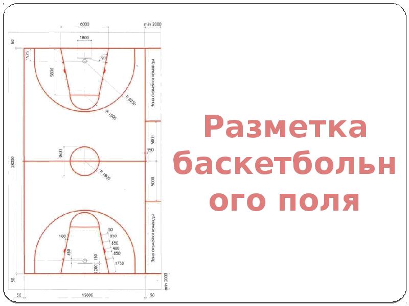 Разметка баскетбольного поля схема