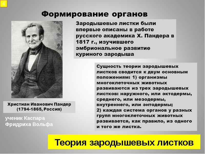 Русские эволюционисты биологии презентация