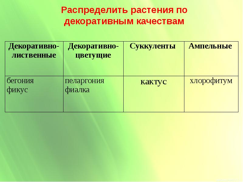 Распределите растения по 3 группам. Распределение растений. Распредели растения по группам.