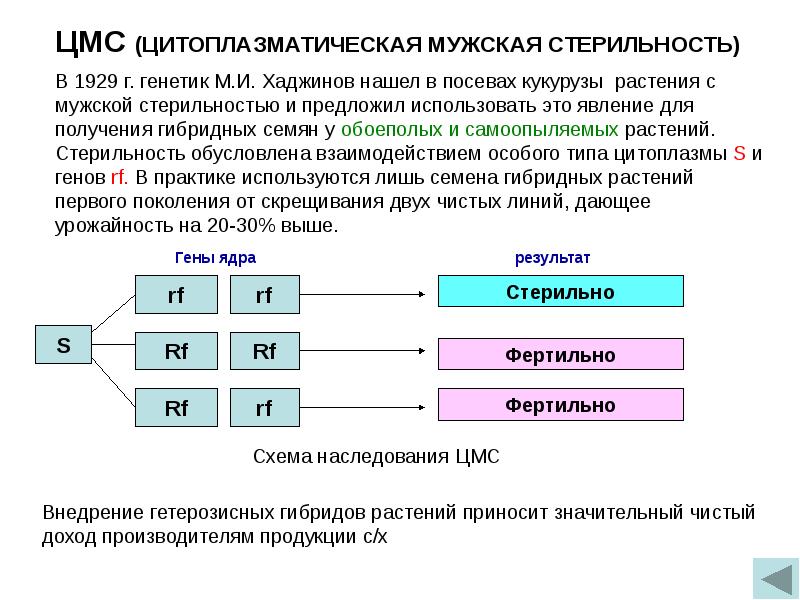 Центр мониторинга окружающей среды. Цитоплазматическая мужская стерильность у кукурузы селекция. Цитоплазматическая мужская стерильность схема. Цитоплазматическая мужская стерильность. Цитоплазматическая мужская стерильность у растений.