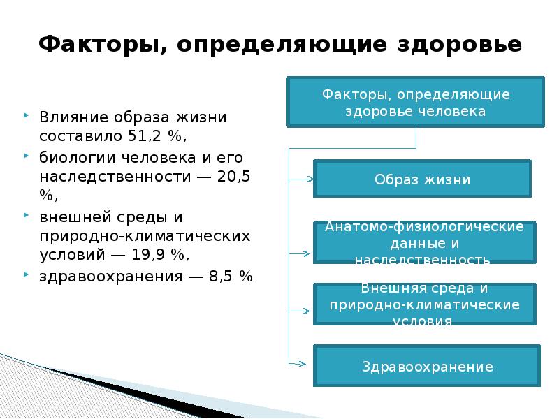 Составляющие факторы здоровья