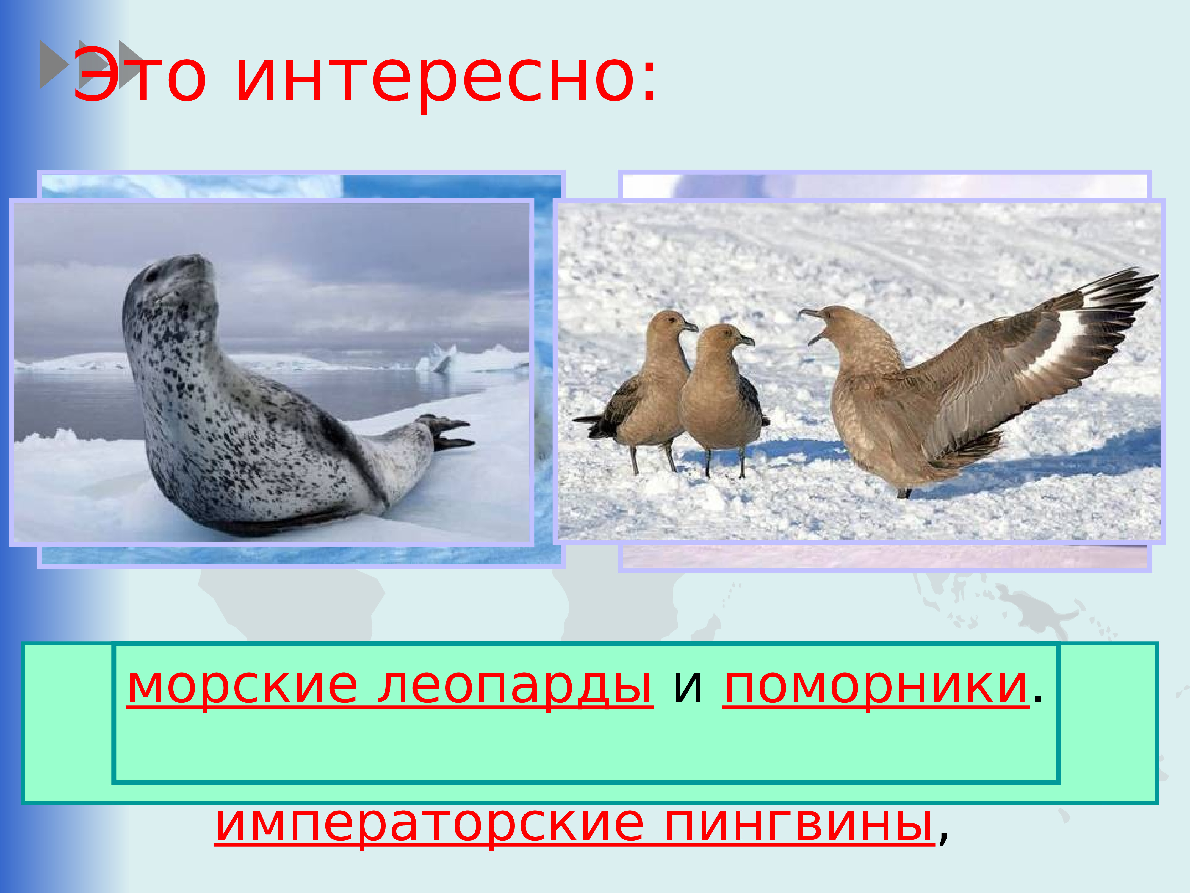 Урок окружающего мира 2 класс путешествие по планете презентация