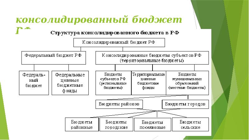 Бюджетное устройство презентация