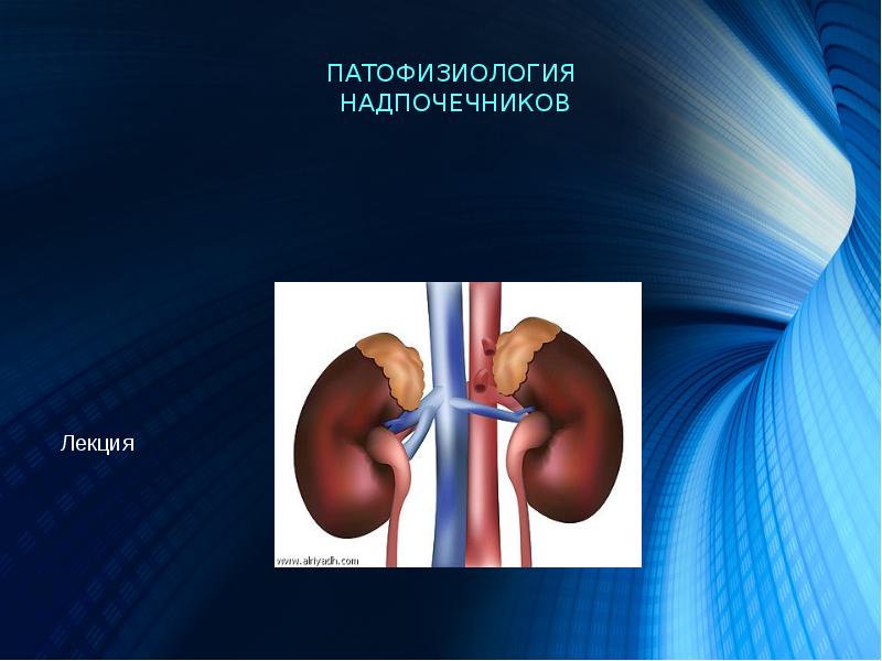 Патофизиология надпочечников презентация