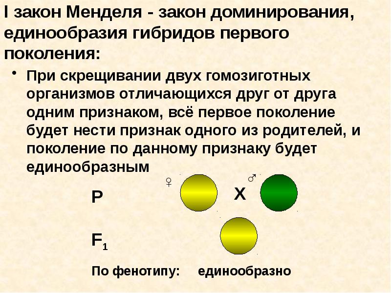 Характеристики 2 закона менделя