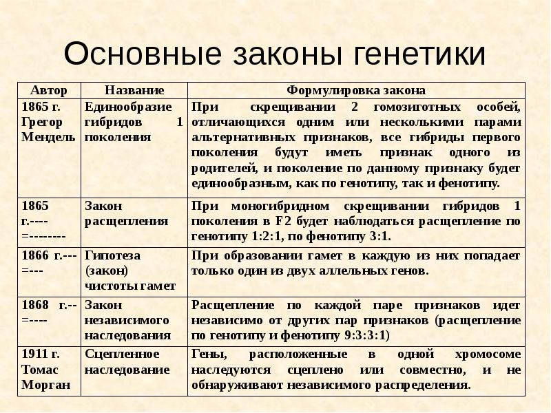 Основы генетики 9 класс презентация