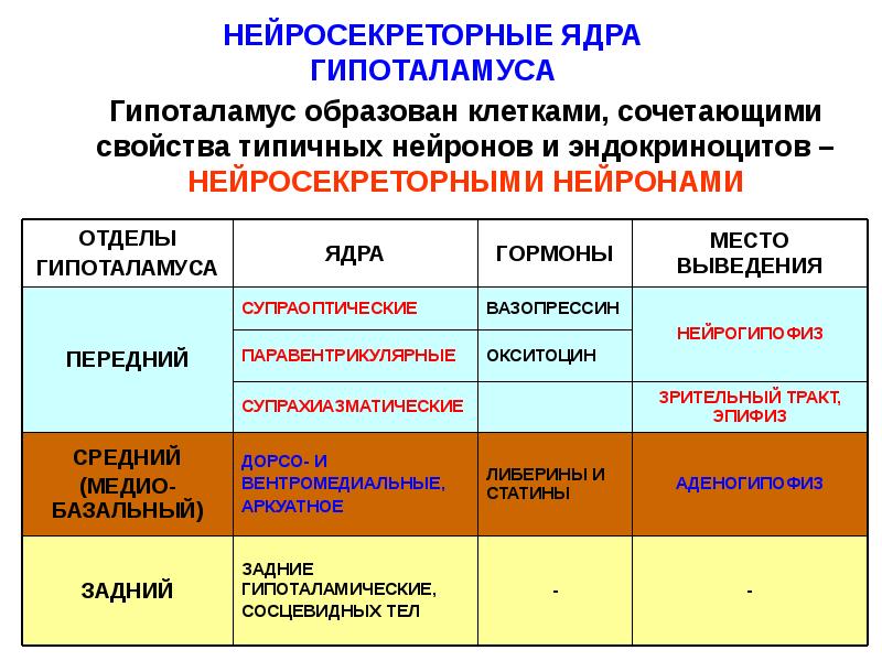 Гормоны и их функции презентация