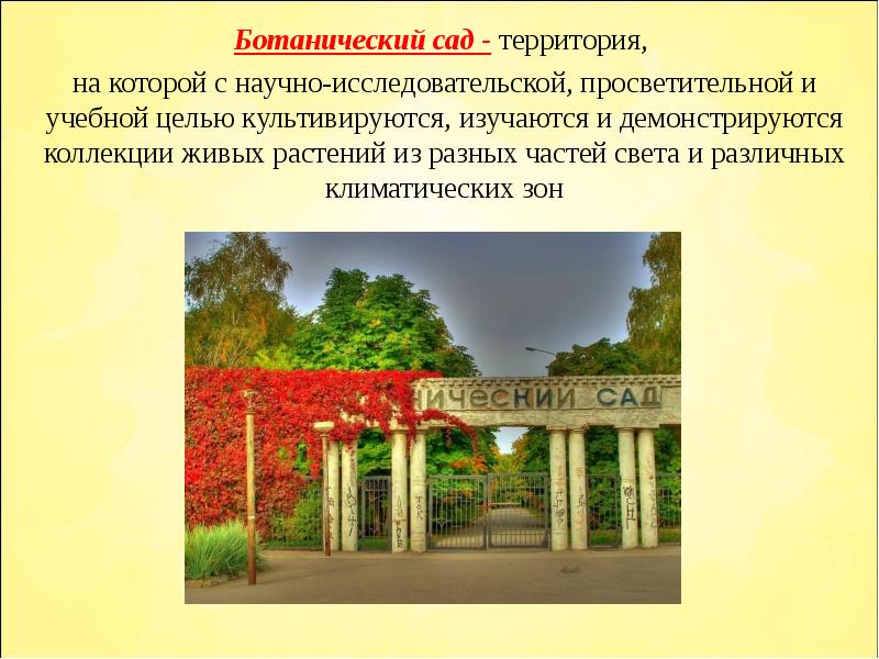 В ботаническом саду 1 класс перспектива презентация