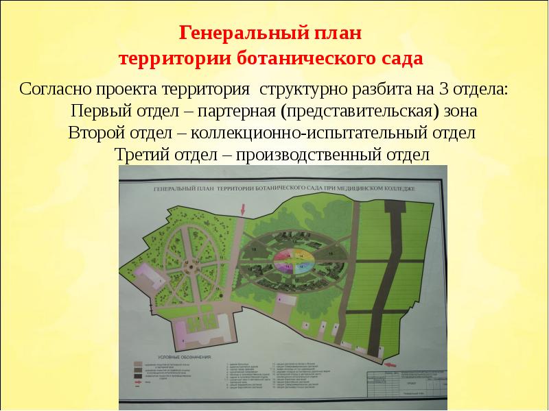 Ботанический сад 1 класс перспектива презентация