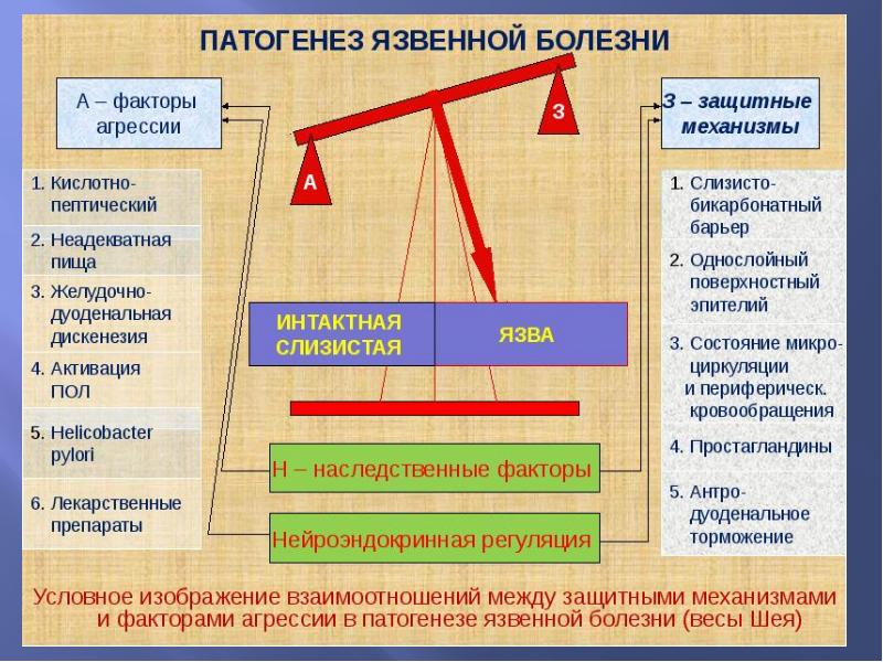 Язвенная болезнь желудка патофизиология презентация