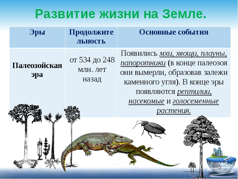 Развитие жизни на земле таблица по эрам биология 9 класс презентация