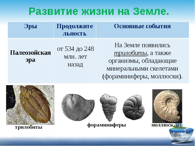 Основные этапы развития жизни на земле презентация