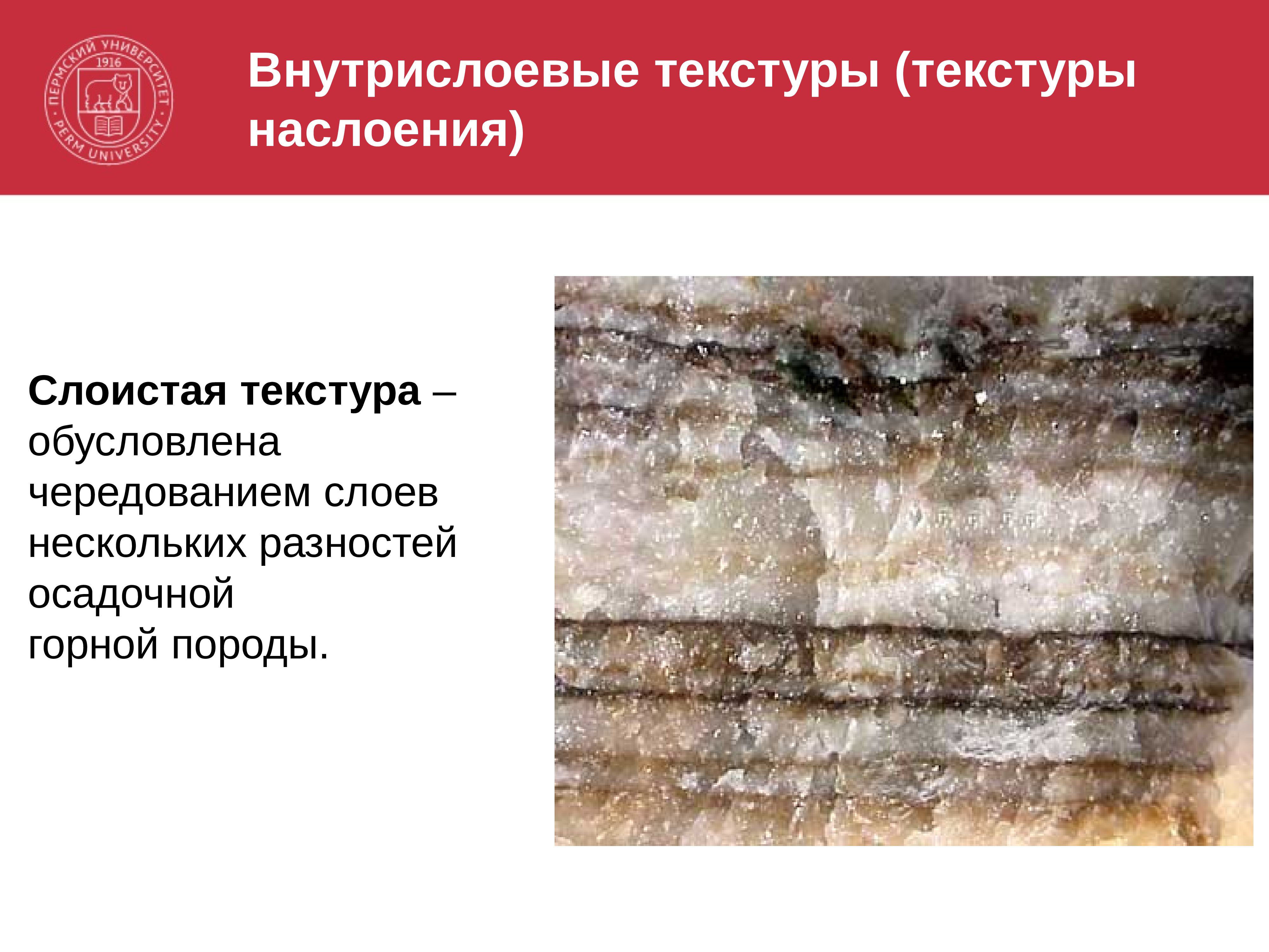 Текстура горных пород. Слоистость осадочных горных пород. Слоистая структура осадочных горных пород. Структура и текстура осадочных горных пород. Слоистая текстура осадочных пород.