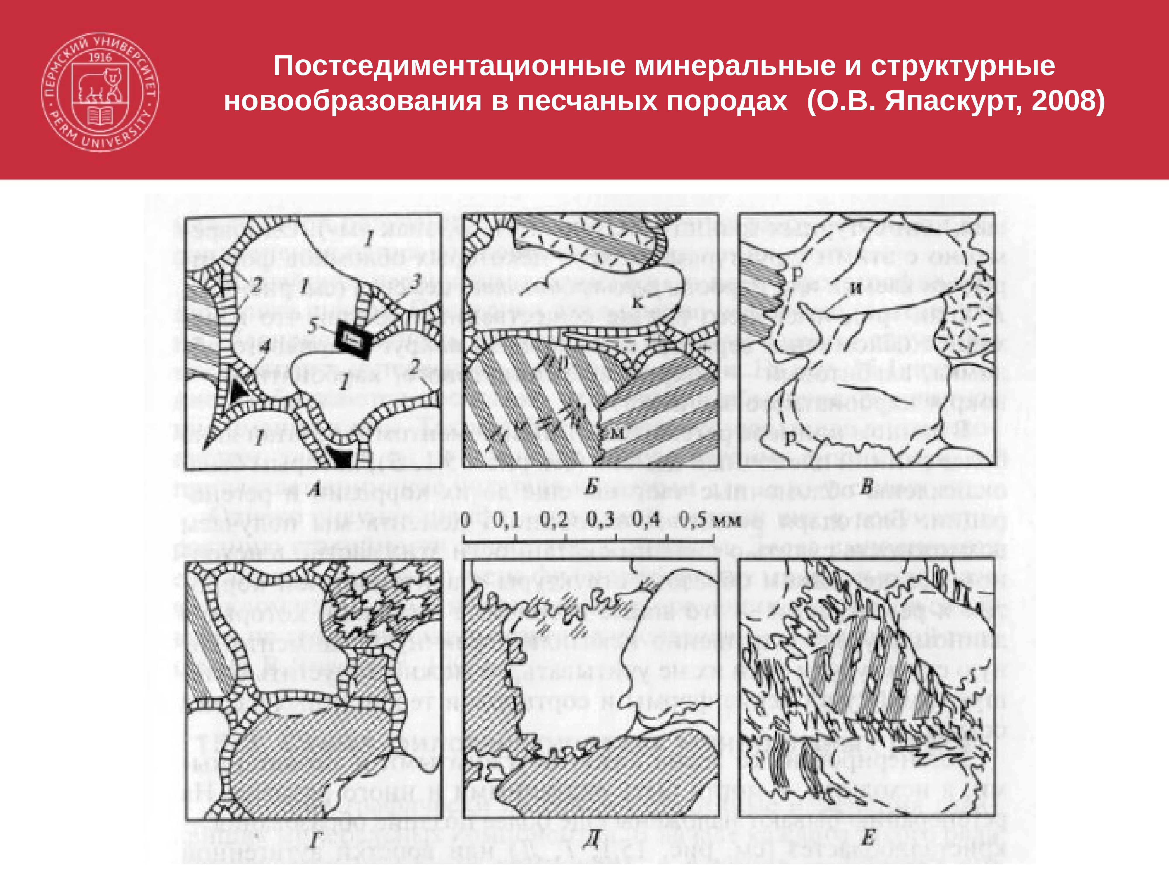 Схема абсорбции петрография