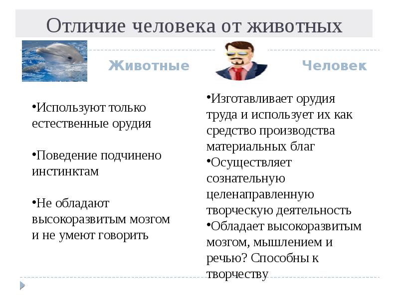 Отличие человека от животного 2 класс. Отличие человека от животных. Различие человека и животного Обществознание. Рассказ чем человек отличается от животного. Отличие человека от животных Обществознание.