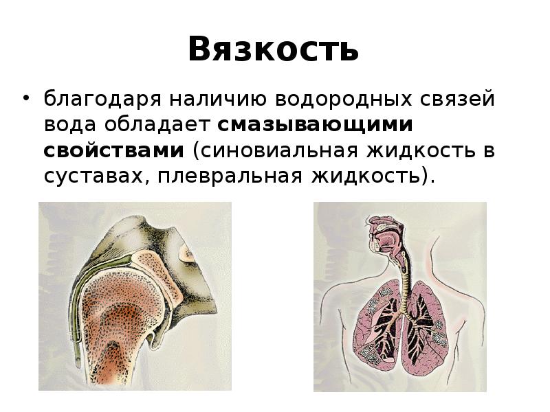 Благодаря наличию системы. Благодаря наличию водородных связей вода обладает.