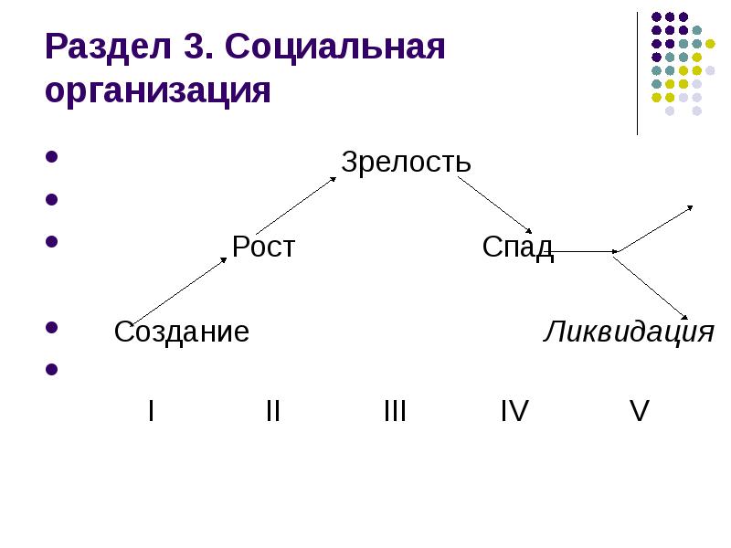 Социальная организация презентация