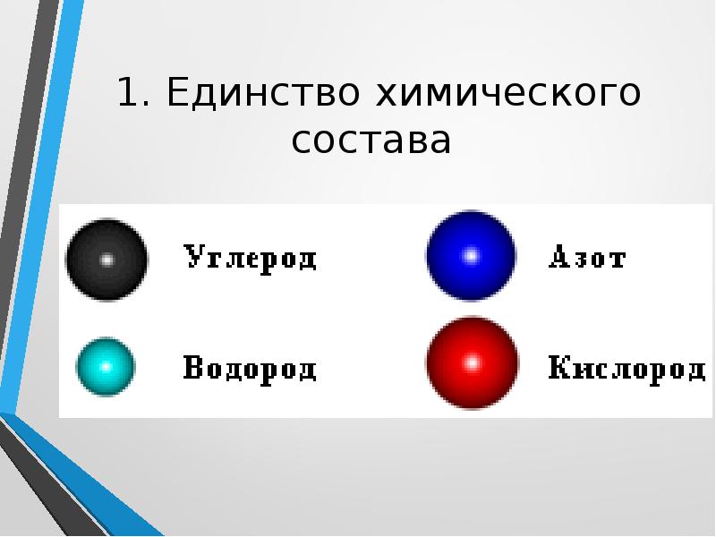 Клеточное единство. Единство химического состава. Единство химического состава примеры. Единство химических связей. Единство химического состава ОГЭ.