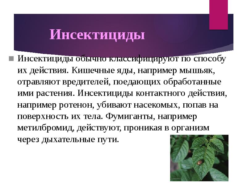 Инсектициды контактного действия. Химические средства защиты растений презентация. Контактные инсектициды в действии. Контактные яды примеры.