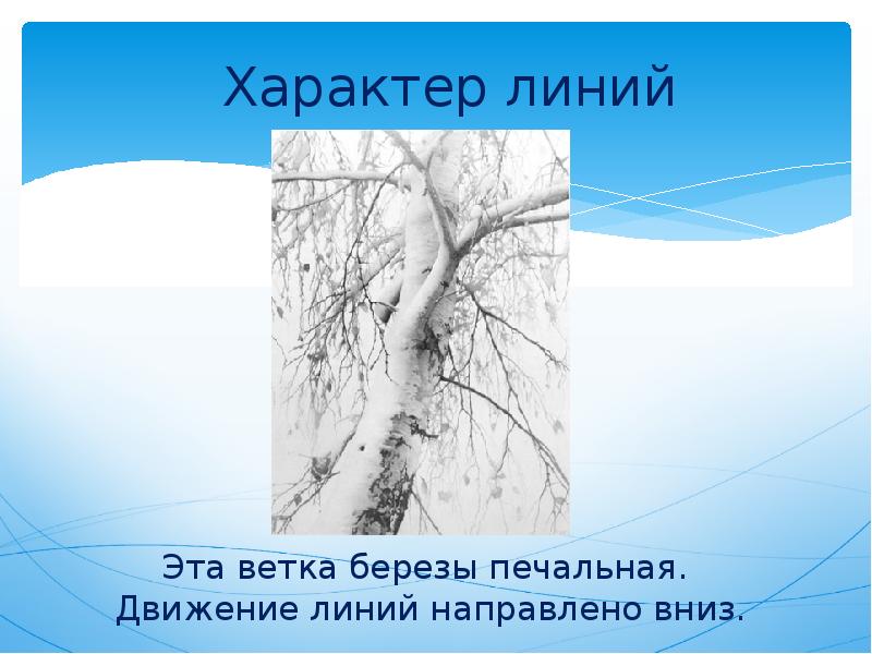 Печальная береза у моего окна. Характер линий ветка березы. Ритм линий березы. Ритм линий ветка березы. Печальная береза Жанр.