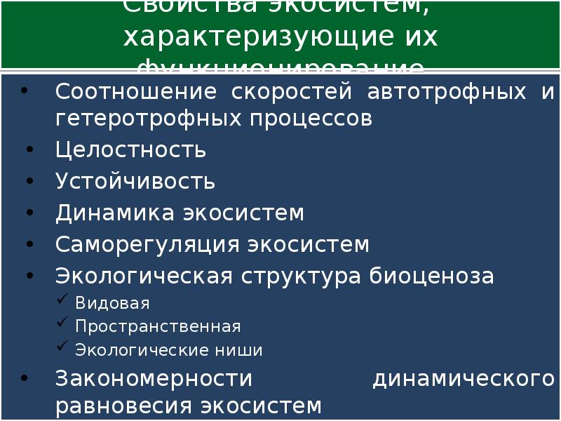 Устойчивые биогеоценозы характеризуются