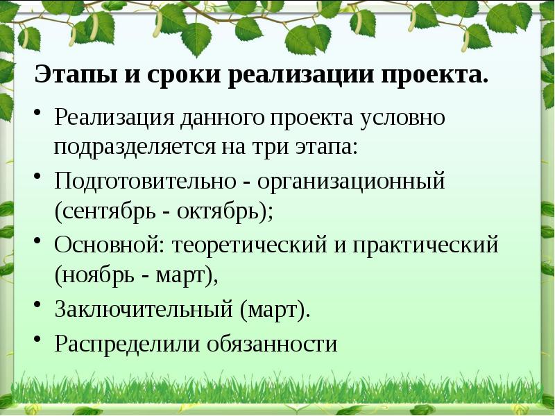 Экологическое планирование. Сроки реализации проекта экологический. Проект экология сроки. Этапы проекта экологии.