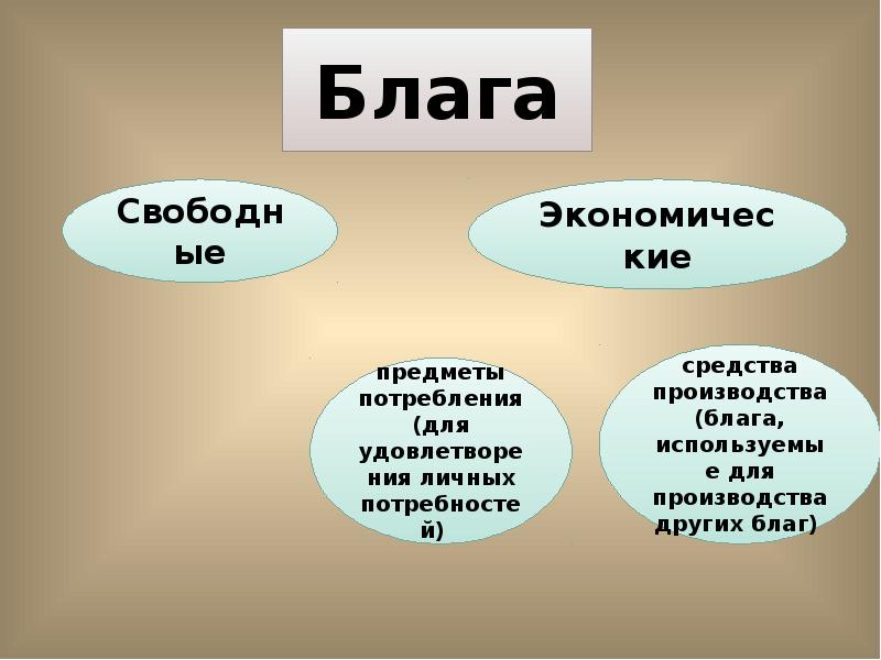 Презентация 8 класс