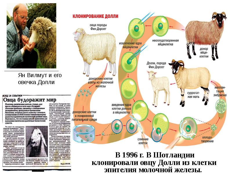 Достижения современной биологии презентация