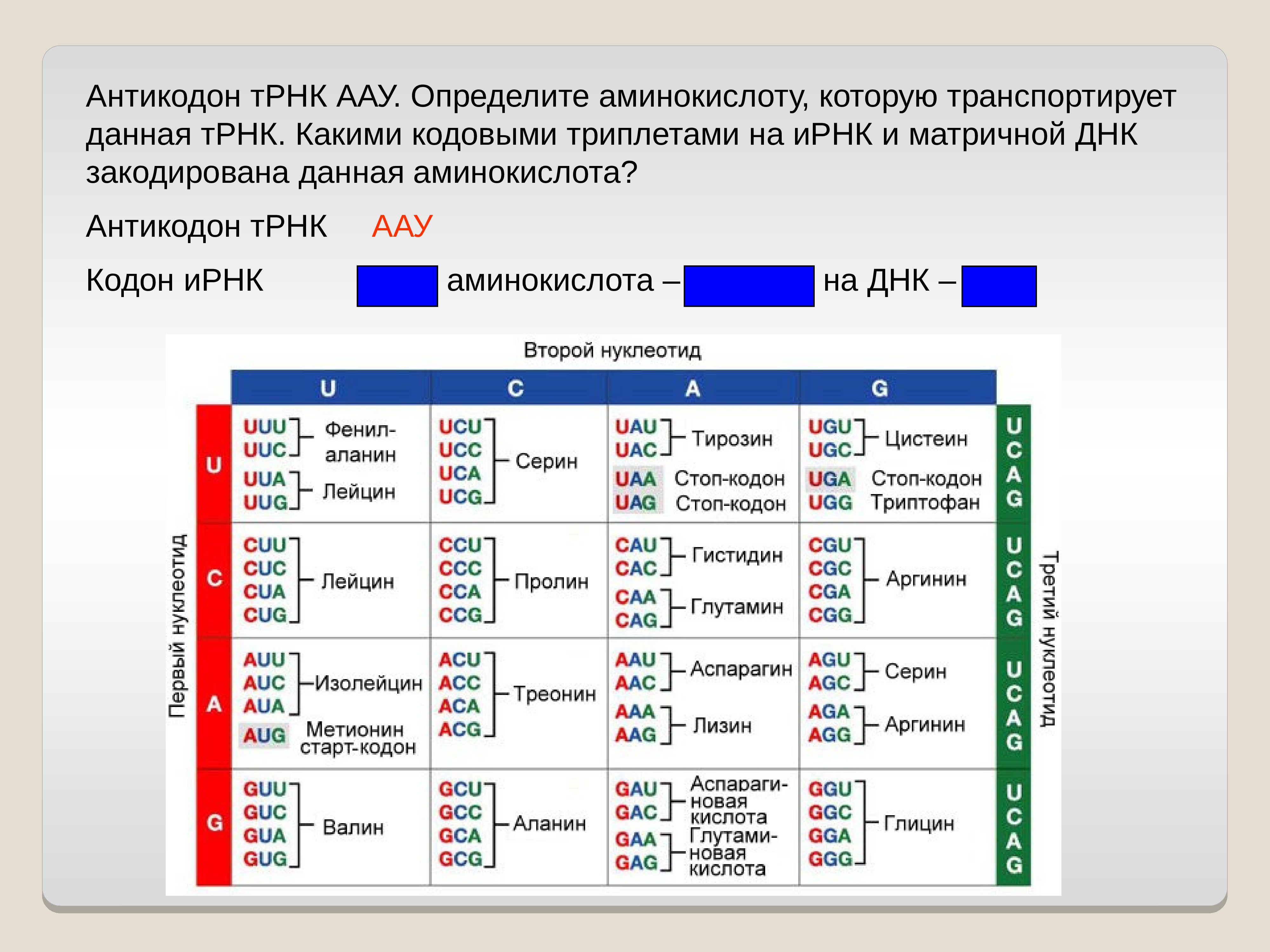 Таблица антикодонов ТРНК