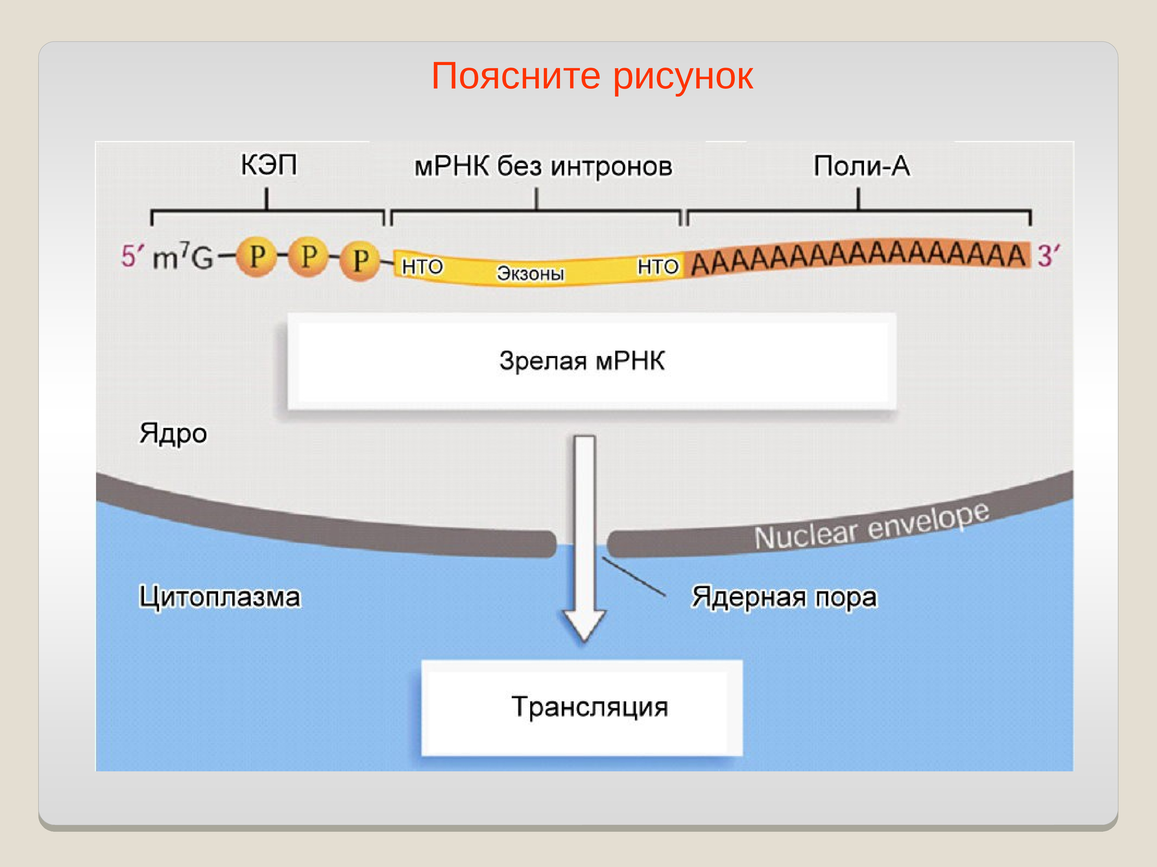 Изображение поясняющее текст это