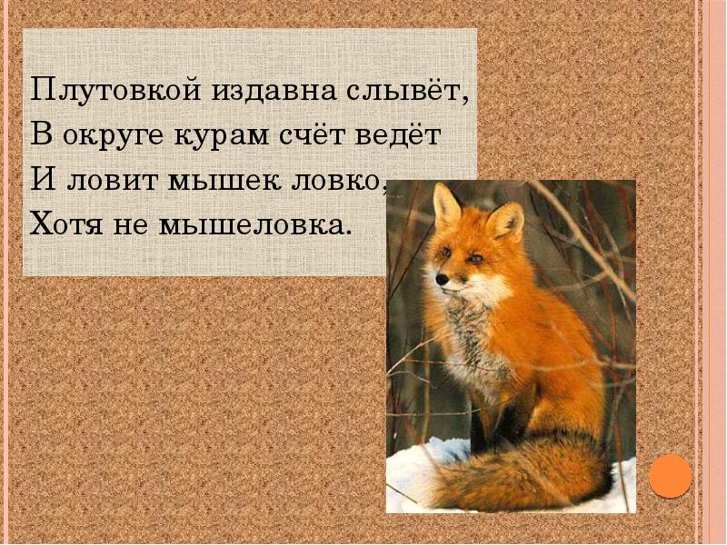 Плутовка значение слова. Плутовка антоним. Мышь плутовка. Плутовка это значит. Ловко ловит мышей.