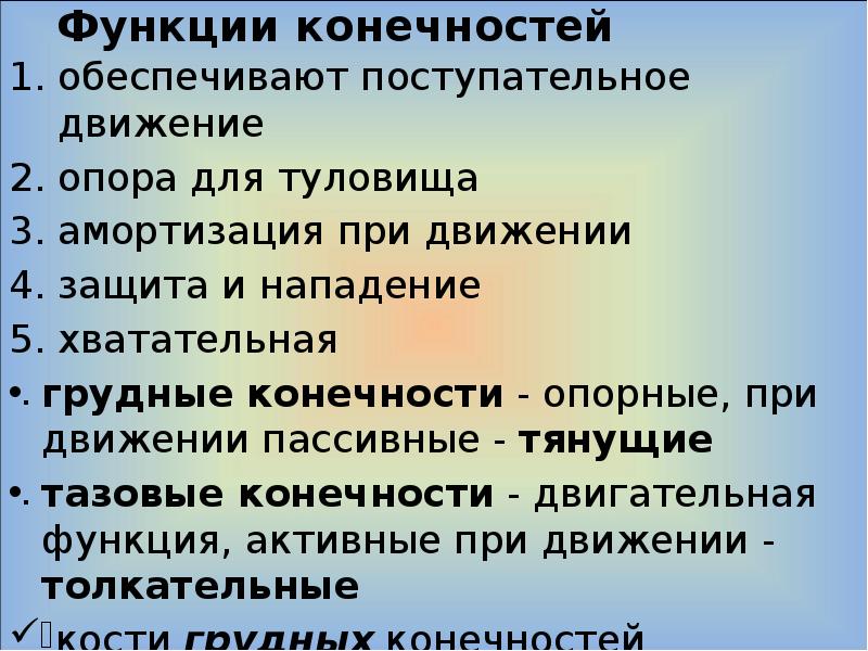 Какие конечности обеспечивают передвижение