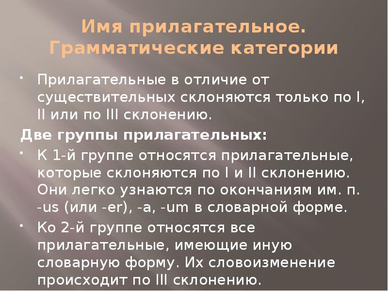 Имя прилагательное грамматическое значение. Имя прилагательное грамматическое значение