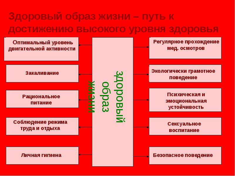 Здоровый образ жизни и безопасность жизнедеятельности презентация