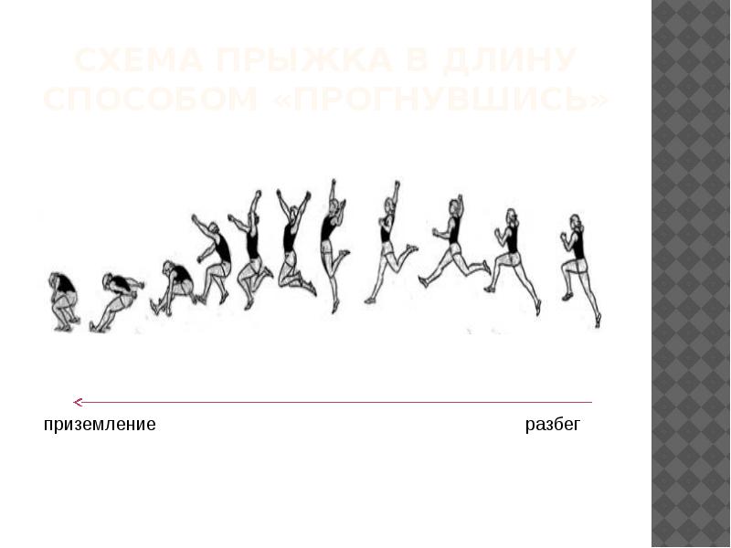 Техника прыжка в длину с места картинки