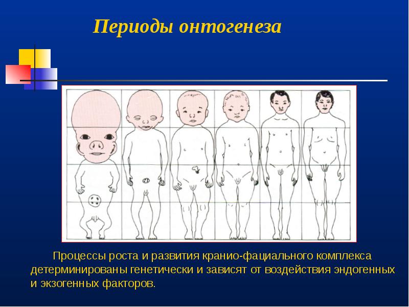 Врожденная патология кранио фациальной области презентация