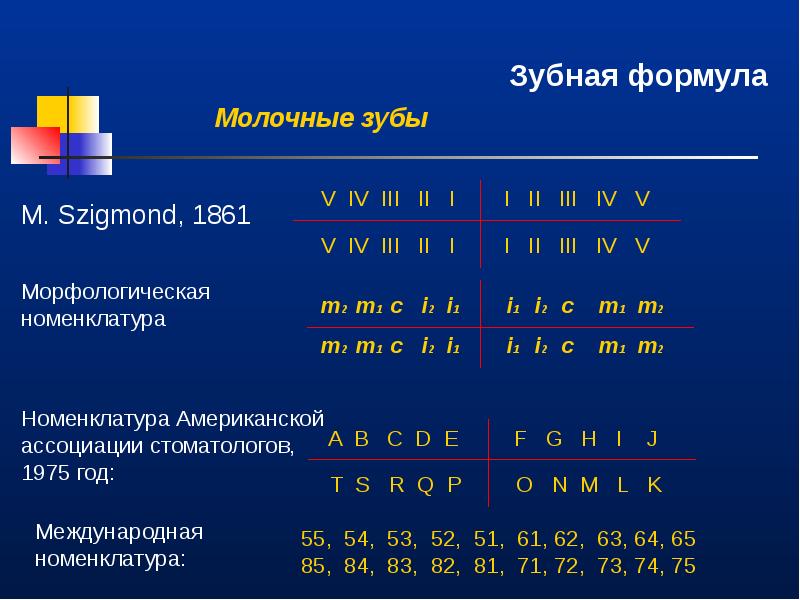 Зубная формула. Американская номенклатура зубов. Зубная формула по американской номенклатуре. Номенклатура зубов Америка-. Американская формула зубов.