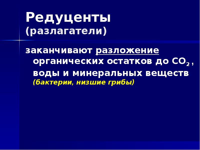 Редуценты разлагают органические вещества до минеральных. Разложение органических остатков. Органическое разложение. Разложение органических веществ. Разлагатель.