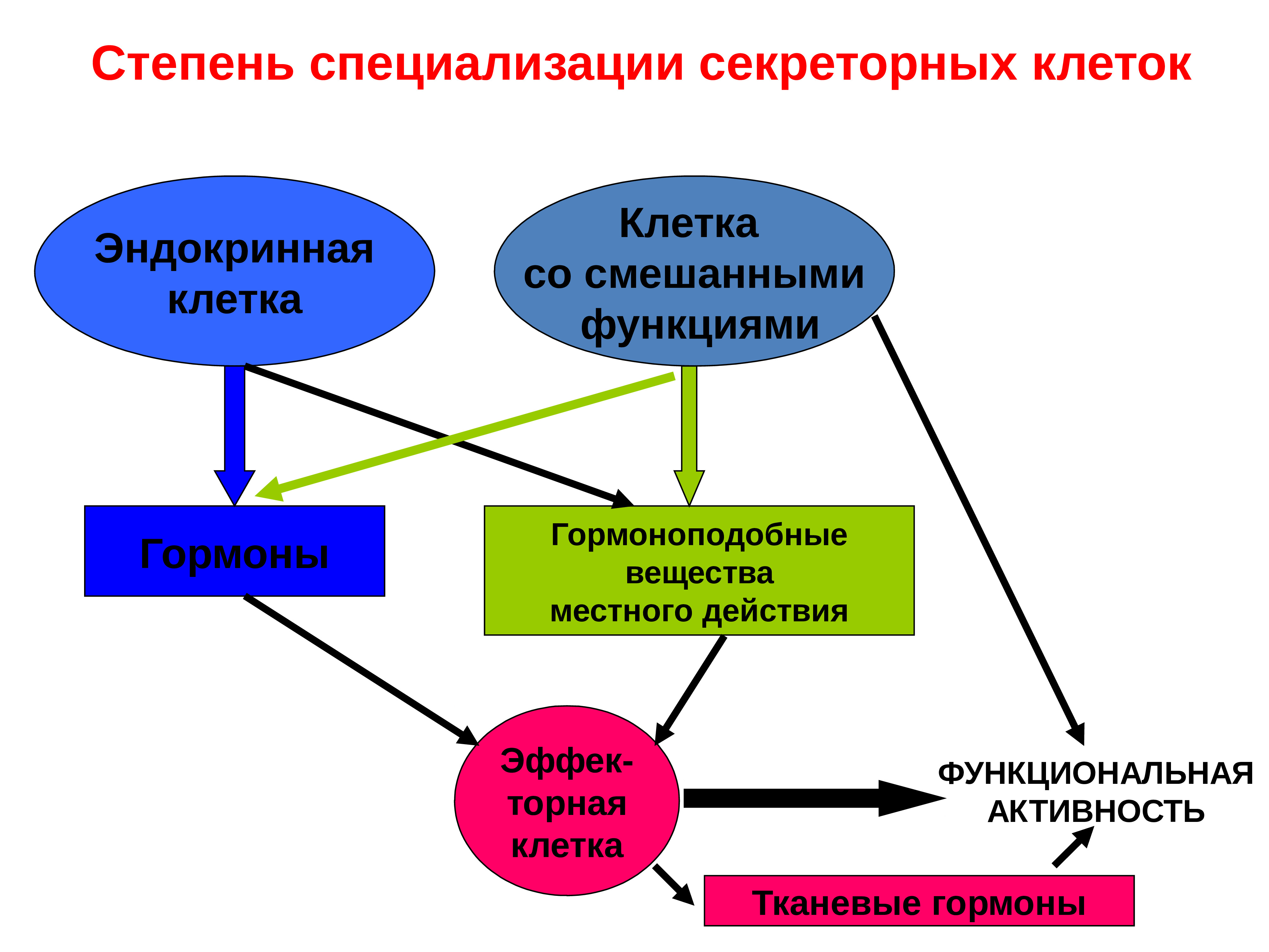 Гормоноподобные вещества презентация