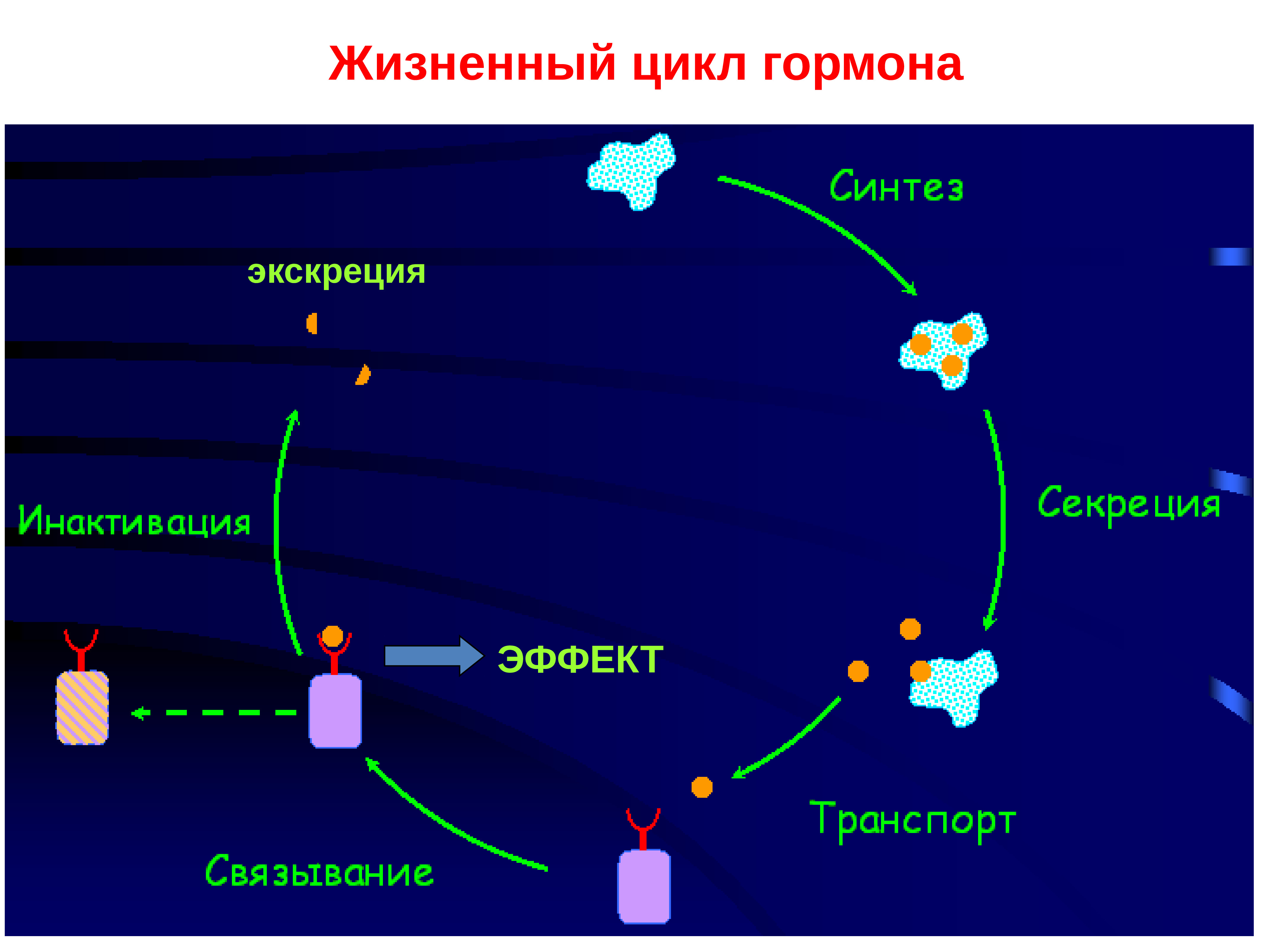 Жизненный цикл операционной системы презентация