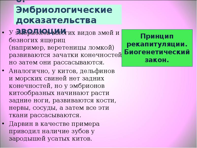 Эмбриологическим доказательством эволюции служит