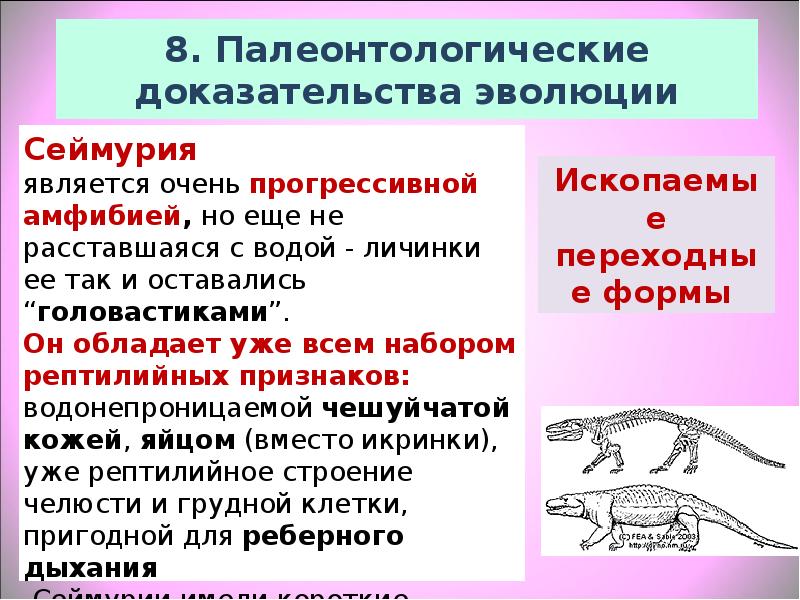 Доказательство эволюции органического