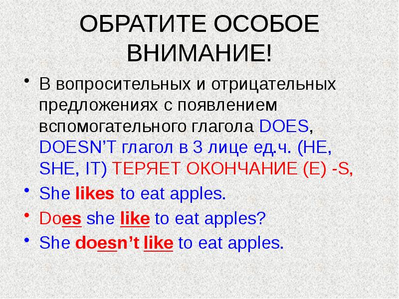 Правило do does в английском языке 3. Глагол do does в вопросительном предложении. Do does правило для детей. Предложения с do does did. Вопросительные и отрицательные предложения в present simple.