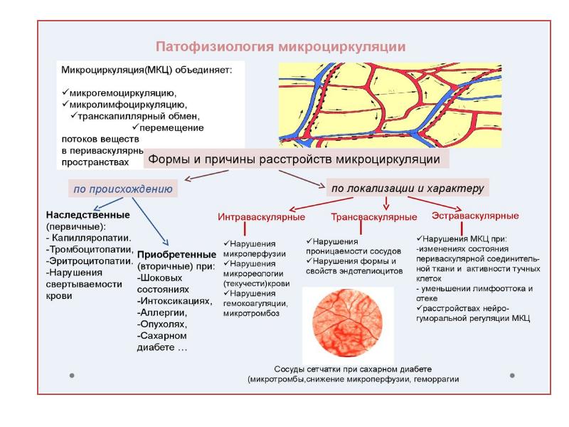 Patologiya mikrocirkulyacii 2  PPT