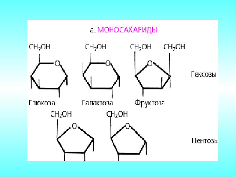 Пентоза формула. Моносахариды гексозы. Пентозы и гексозы. Моносахариды глюкоза фруктоза. Формула глюкозы рибозы и фруктозы.