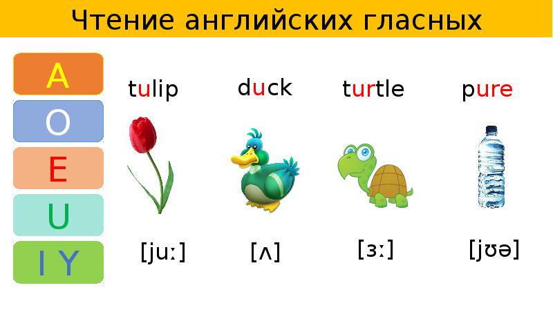 Презентация на чтение на английском