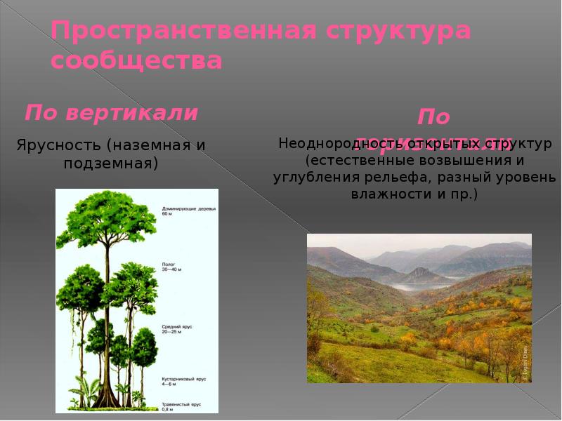 Определите пространственную структуру