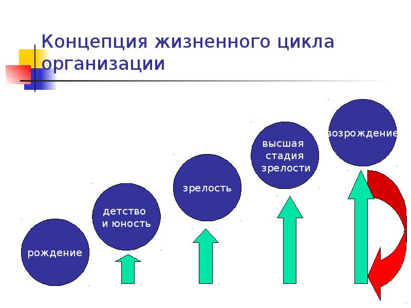 Концепция жизненного цикла организации Концепция жизненного цикла организации