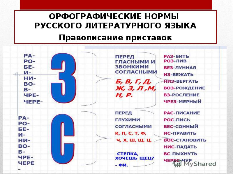 Нормы русского литературного языка презентация